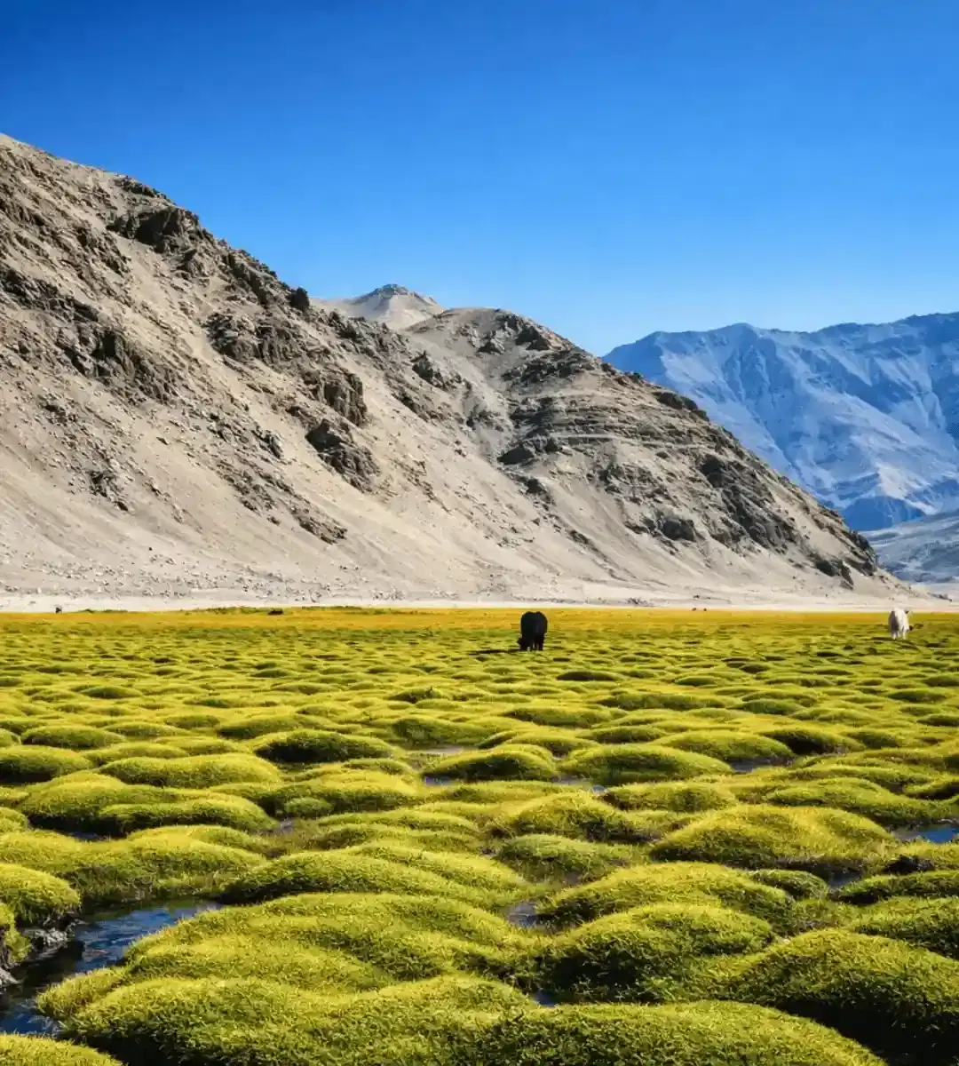 Ultimate Ladakh With Hanle Umlingla Puga Valley and Tso Moriri